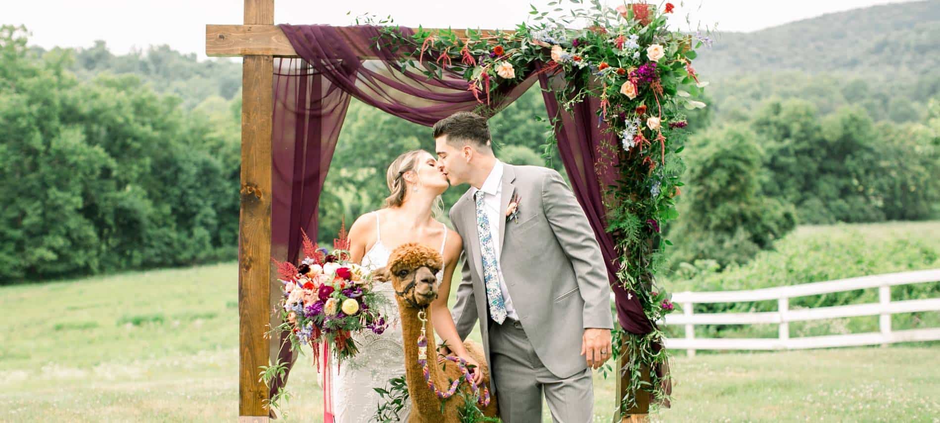 Bride with white wedding dress and groom with gray suit standing near a brown alpaca under a wooden alter decorated with flowers on a hill with green trees in the background