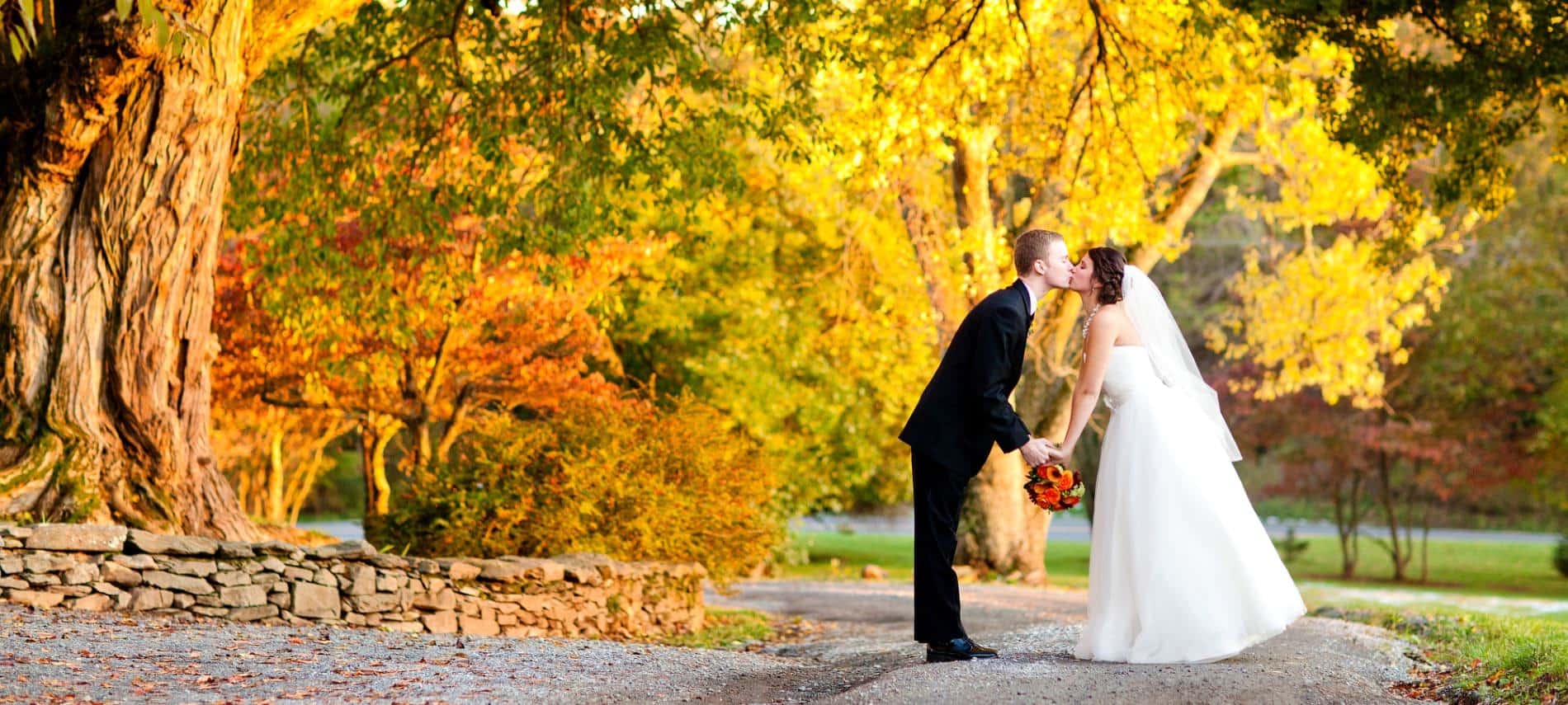 Bride in white wedding dress and groom in black suit standing on trail near large trees with yellow, orange, and pops of green leaves